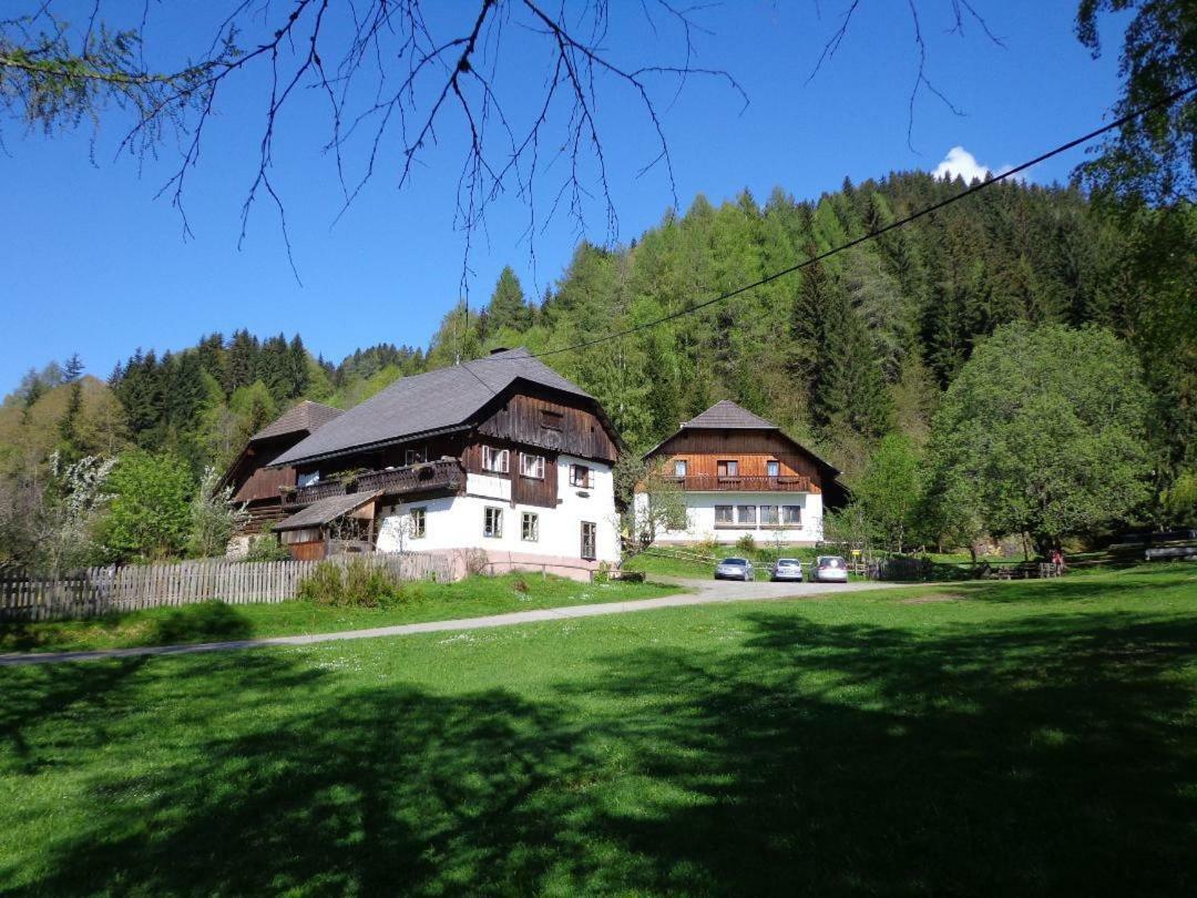 Apartment Zum Wasserfall Krakaudorf Exterior photo